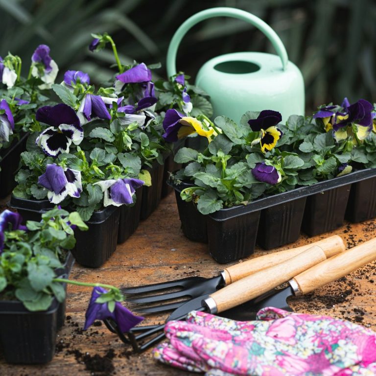 Wooden Garden Planters Flintshire