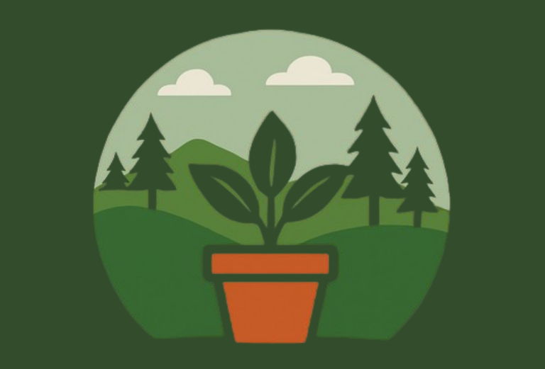 Garden Planters North Wales