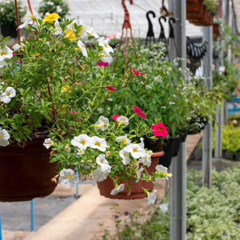 Timber Garden Planters North Wales